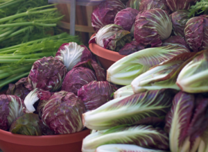 varietà-di-radicchio